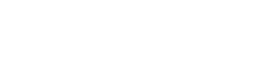 Experi Web logo